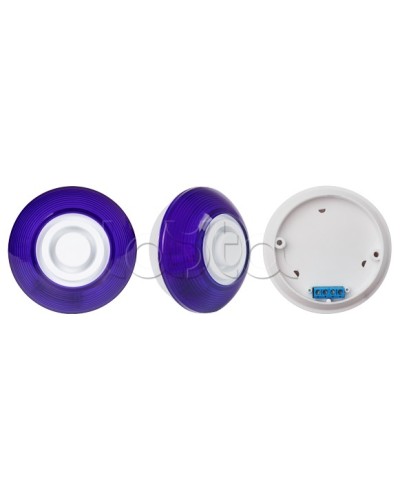 Оповещатель комбинированный SLT Марс 12-КП (строб, син) в Ангарске Оповещатели Pintop.ru